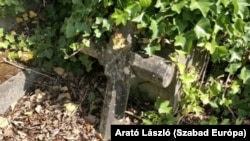 Képünk illusztráció