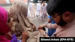 A health worker in Peshawar administers the polio vaccine to children during a three-day countrywide vaccination campaign on August 26.