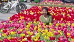 «Эркиндиктеги» жашоо