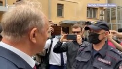 Мертвый лось завалил депутата