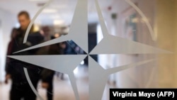 НАТО уюмунун эн белгиси.