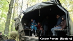 Польша менен Беларустун чек арасында кармалган ирактык мигранттар. 14-октябрь, 2021-жыл. 