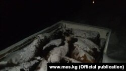 Окуя болгон жерден тартылган сүрөт.