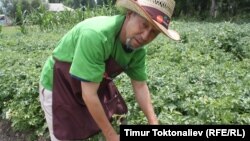 Мунар Мусахунов