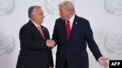 US President Donald Trump greets Hungarian Prime Minister Viktor Orban during a summit on Gaza in Sharm el-Sheikh, Egypt, on October 13.