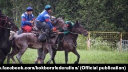 Көк бөрү. Москва облусу. 