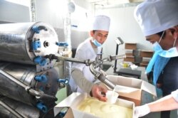 Cүт комбинаттын жумушчулары жумуш учурунда.