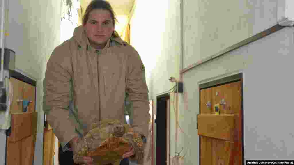 Таштай оор ташбака.&nbsp;