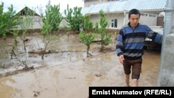 Ош облусу, 2012-жыл