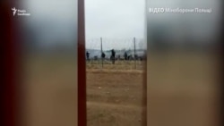 Озброєні мігранти атакували польських силовиків (відео)