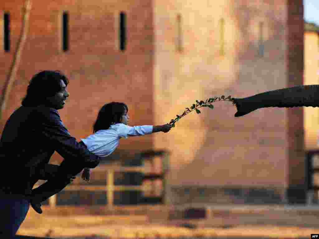 Iako je pažnja fotoreportera usmjerena na stadione, bilo je i onih koji su našli vremena da posjete zološki vrt u Johannesburgu 