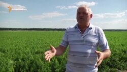 Земля, человек и свобода