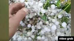 Социалдык тармактарда тараган видеодон алынган сүрөт.