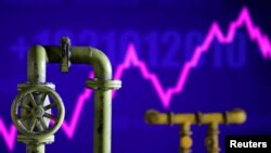 Nem szabad, hogy megtévesszen a mostani árszint, mert ez egy pillanatnyi helyzet – mondja a szakértő