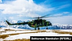 Иллюстрациялык сүрөт.