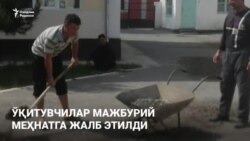 Ферганские учителя пожаловались на принудительный труд