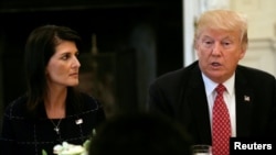Nikki Haley i Donald Trump u Vijeću sigurnosti UN-a u Bijeloj kući u Washingtonu, 24. aprila 2017.