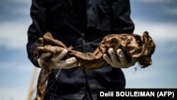 Član civilnog vijeća Raqa drži posmrtne ostatke pronađene u masovnoj grobnici u poljoprivrednom predgrađu al-Fukheikha u sjevernom sirijskom gradu, gdje je u februaru 2019. godine ekshumacijski tim otkrio oko 3.500 leševa