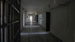 Türkmen häkimiýetleri ony öli görkezdiler