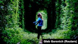 "A szerelem alagútja" - így emlegetik ezt a vasútvonalat a Kijevtől 350 kilométerre lévő Kleven városában