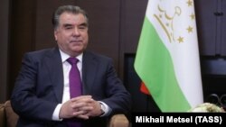 Many close relatives of Tajikistan's President Emomali Rahmon occupy important official positions or control lucrative businesses.