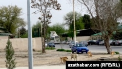 Туркменистан (архивное фото)  