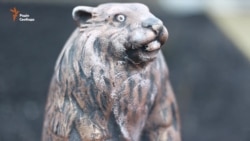 «Манни небесної не буде» – люди, які самі управляють своїм селом (відео)