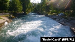 Иллюстративное фото