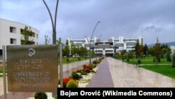 Univerzitet Crne Gore