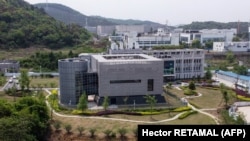 Кытайдын Ухань шаарынлагы вирусология лабораториясы. 17-апрель 2020-жыл