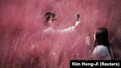 Иллюстративное фото.