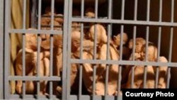 Акс аз бойгонӣ