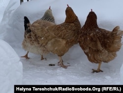 Героїні відео