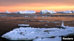 «Приємно вражає, що в Україні є така кількість романтиків науки та полярних мандрів» – Дикий