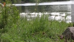 У Запоріжжі землю перетворюють на витвір мистецтва (відео)