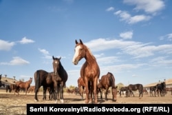 Клікніть, щоб відкрити
