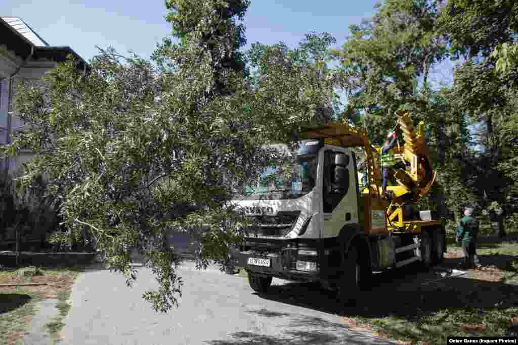 Valul 4 al pandemiei este marcat de lipsa locurilor în spitale. La &bdquo;Marius Nasta&rdquo;, mai mulți arbori au fost transplantați pentru a face loc containerelor pentru triajul pacienților.