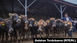 Кыргызстандагы мал базарлардын бири. Архив.