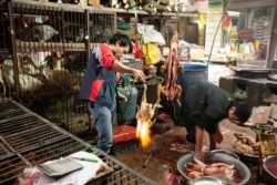 ჩინეთის ერთ-ერთი "სველი ბაზარი".