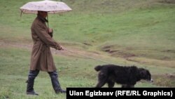 Иллюстрация (Сүрөттүн макалага тиешеси жок)