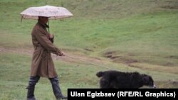 Каркыра жайлоосу. 