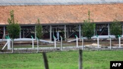 Ferma e shpendëve, vendi i shpërthimit të gripit të shpendëve në Rio Grande do Sul, Brazil, më 17 maj 2025.