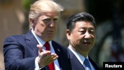 Presidenti amerikan DOnald Trump dhe homologu kinez, Xi Jinping 
