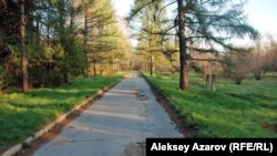 Одна из дорожек в Ботаническом саду. Хотя фото сделано в апреле 2014 года, ситуация с благоустройством, по отзывам сведущих людей, там принципиально не изменилась.