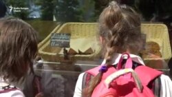 Patiserie franțuzeasă la Comrat