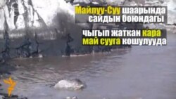 Майлуу-Суу: экология булганууда