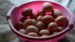 Zehrin krug zadovoljstva