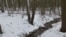 Belarus - the hunting in Belarus forests, the house of forest keeper, 8Feb2015