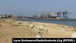 «Від Маріуполя до кордону з Бердянським районом Запорізької області все забито на сьогоднішній день росіянами» (фото архівне, ілюстративне)