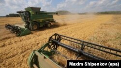 Сбор урожая пшеницы